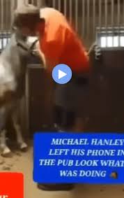 Michael Hanley Guy In A Orange Shirt Horse Video